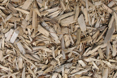 biomass boilers Bushmills